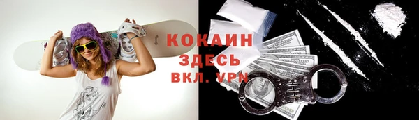 хмурый Алзамай