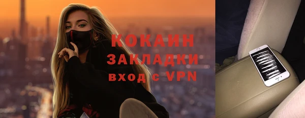 хмурый Алзамай