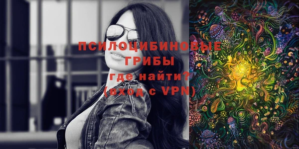 ПСИЛОЦИБИНОВЫЕ ГРИБЫ Алексеевка