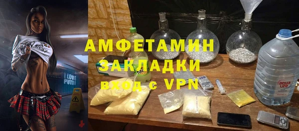 хмурый Алзамай