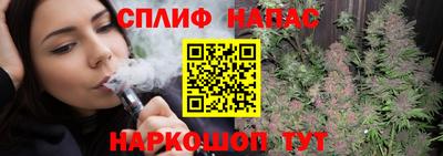 стаф Ярославль