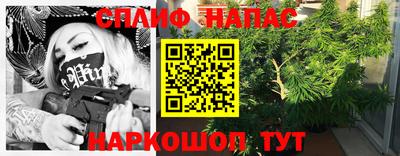стаф Ярославль