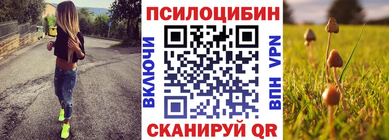 хочу наркоту Омск blacksprut рабочий сайт Галлюциногенные грибы MAGIC MUSHROOMS