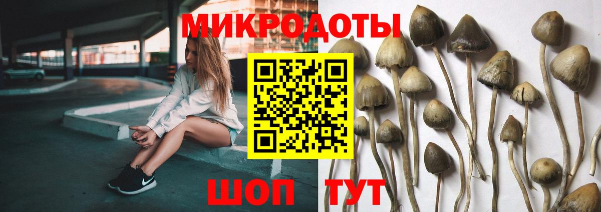 дарнет шоп  Галлюциногенные грибы Psilocybine cubensis  Вход с VPN  Омск 